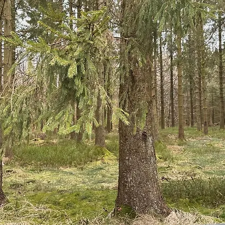Le Gitanne Hébergement de vacances Sourbrodt
